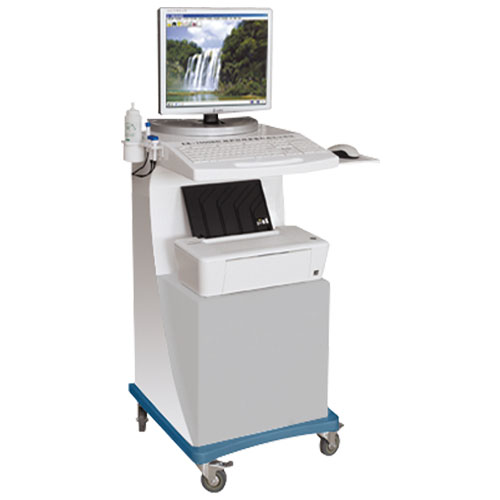 探花视频在线仪