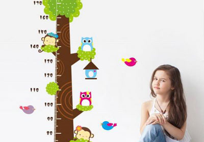 超声探花视频在线仪