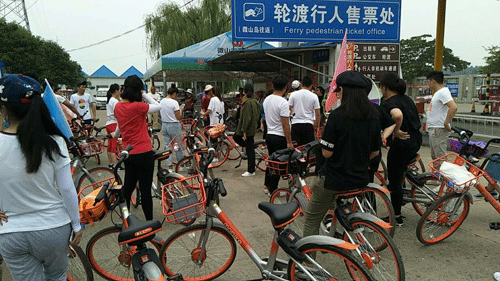 山东探花视频在线版播放免费观看