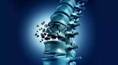 探花视频在线仪