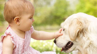 探花视频在线仪