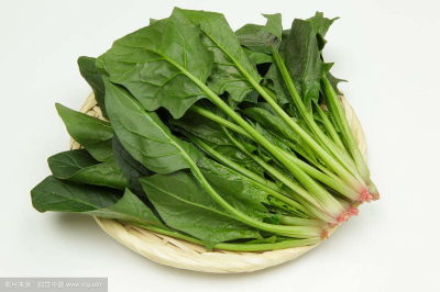 探花视频在线仪