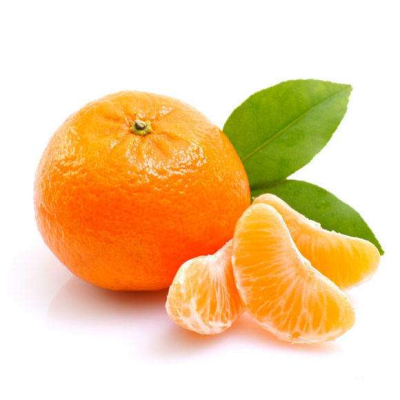 探花视频在线仪