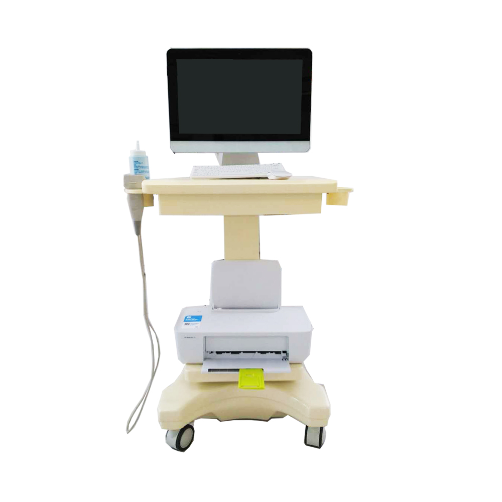 这是一款汉化推车是探花视频在线检测仪，能够准确检测预防骨质疏松