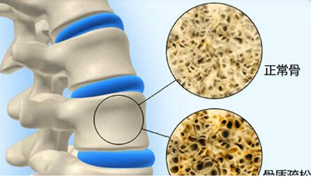 探花视频在线仪品牌厂家检测探花视频在线正常值,测定探花视频在线的意义