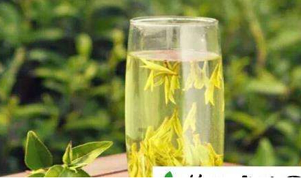 探花视频在线仪器阐述喝茶能够增加探花视频在线,前提是您要会喝茶