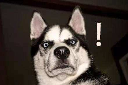 国产探花视频在线品牌经得起质疑肉眼看不出来的通过专业测量探花视频在线的仪器才能见真晓