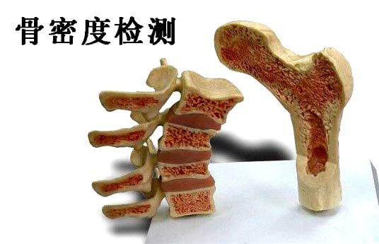 什么是探花视频在线检测_超声探花视频在线检测仪能够准确检测人体探花视频在线吗？