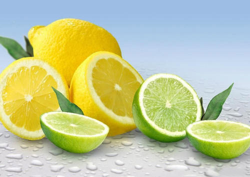 探花视频在线分析仪品牌人体骨骼的影响离不开维生素C