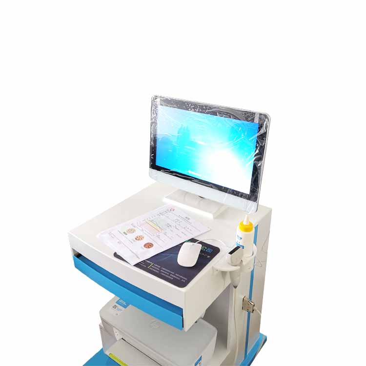 国产探花视频在线仪