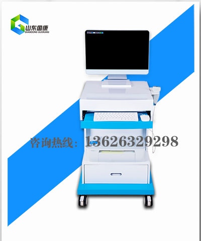 探花视频在线仪