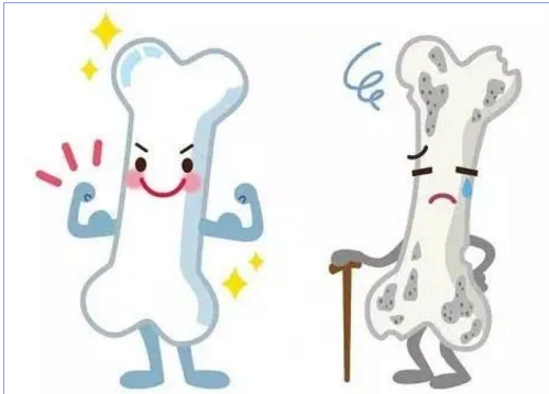 超声波探花视频在线检测仪提前预知骨骼健康