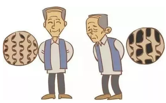 探花视频在线仪