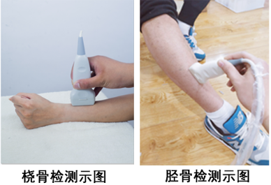 探花视频在线仪