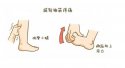 619探花视频在线版播放免费观看超声探花视频在线仪厂家关注：小腿抽筋怎么办？一定是缺钙吗？